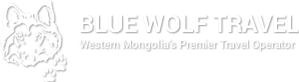 bluewolf-logo